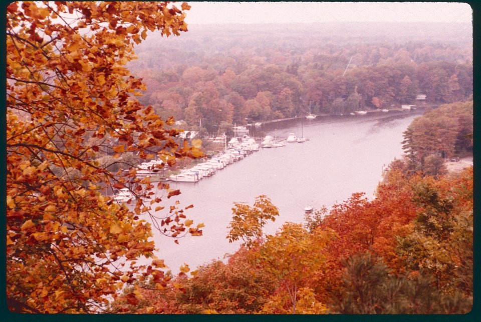 Saugatuck Harbor from Camp Tree tops 1985